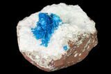 Vibrant Blue Cavansite Clusters on Stilbite & Mordenite - India #168245-1